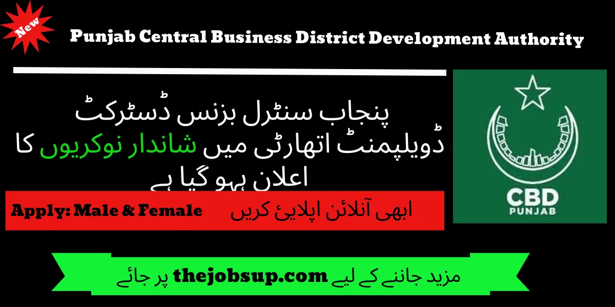 CBD Punjab Jobs