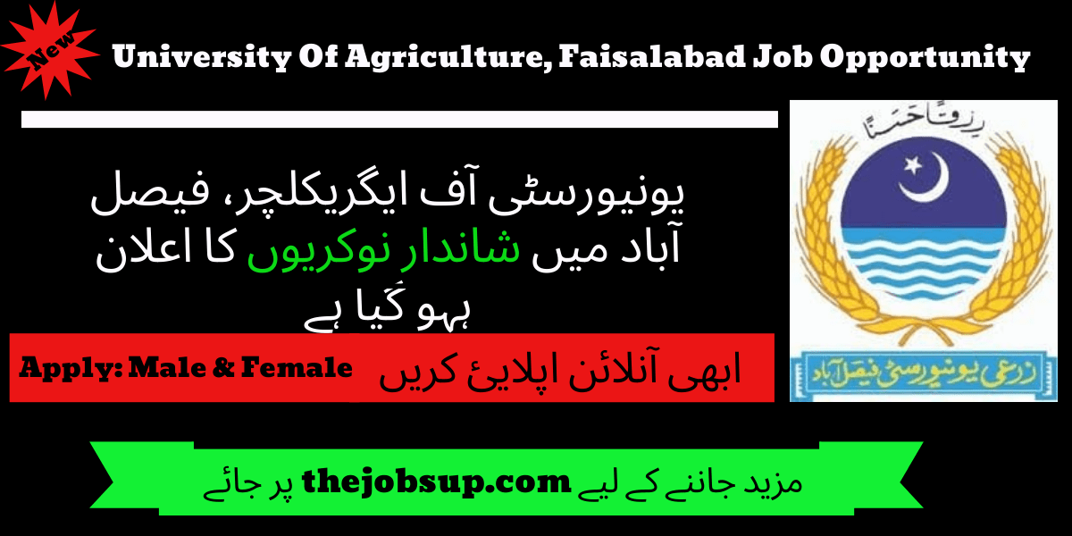 Latest Jobs UAF